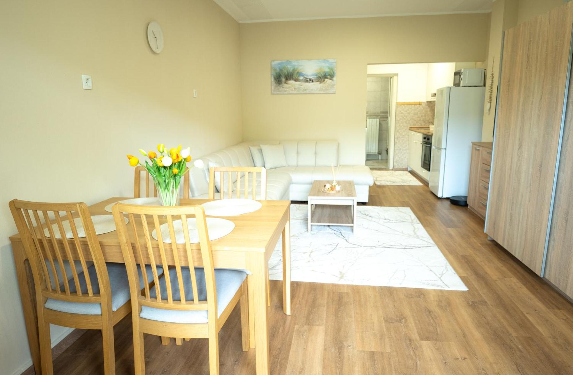 Apartma Alina Apartment *